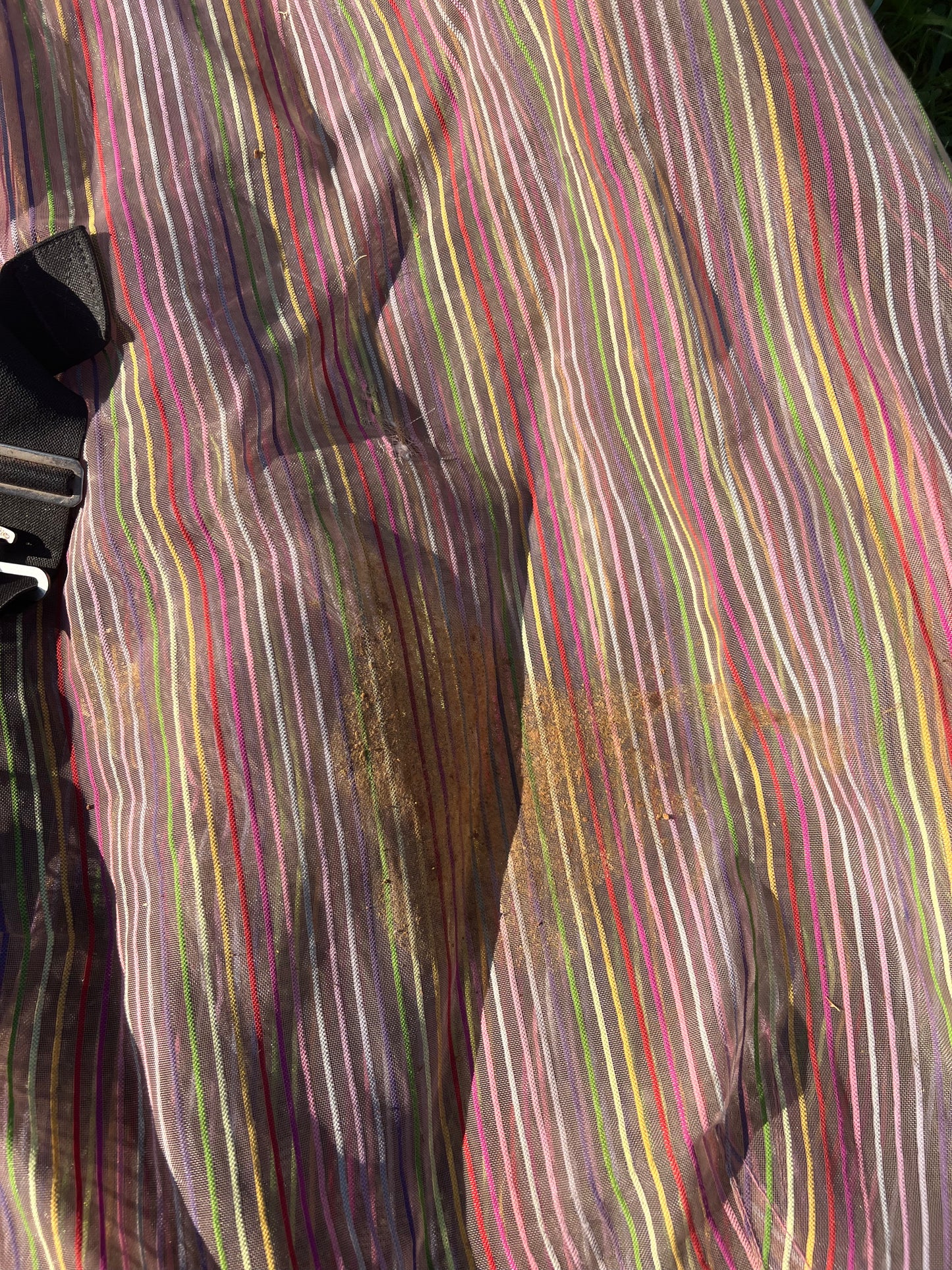 Pink/Purple Stripe Weatherbeeta Fly Sheet, 66"