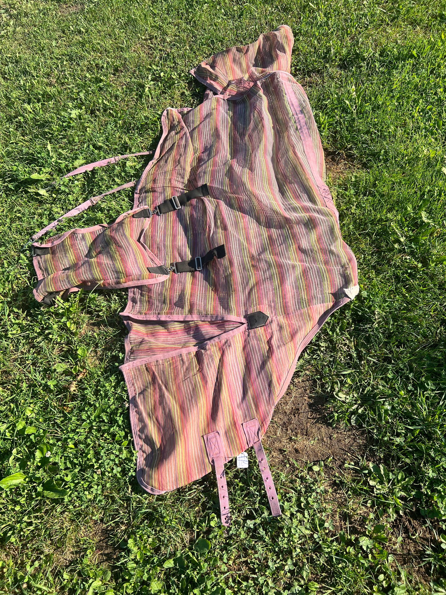 Pink/Purple Stripe Weatherbeeta Fly Sheet, 66"