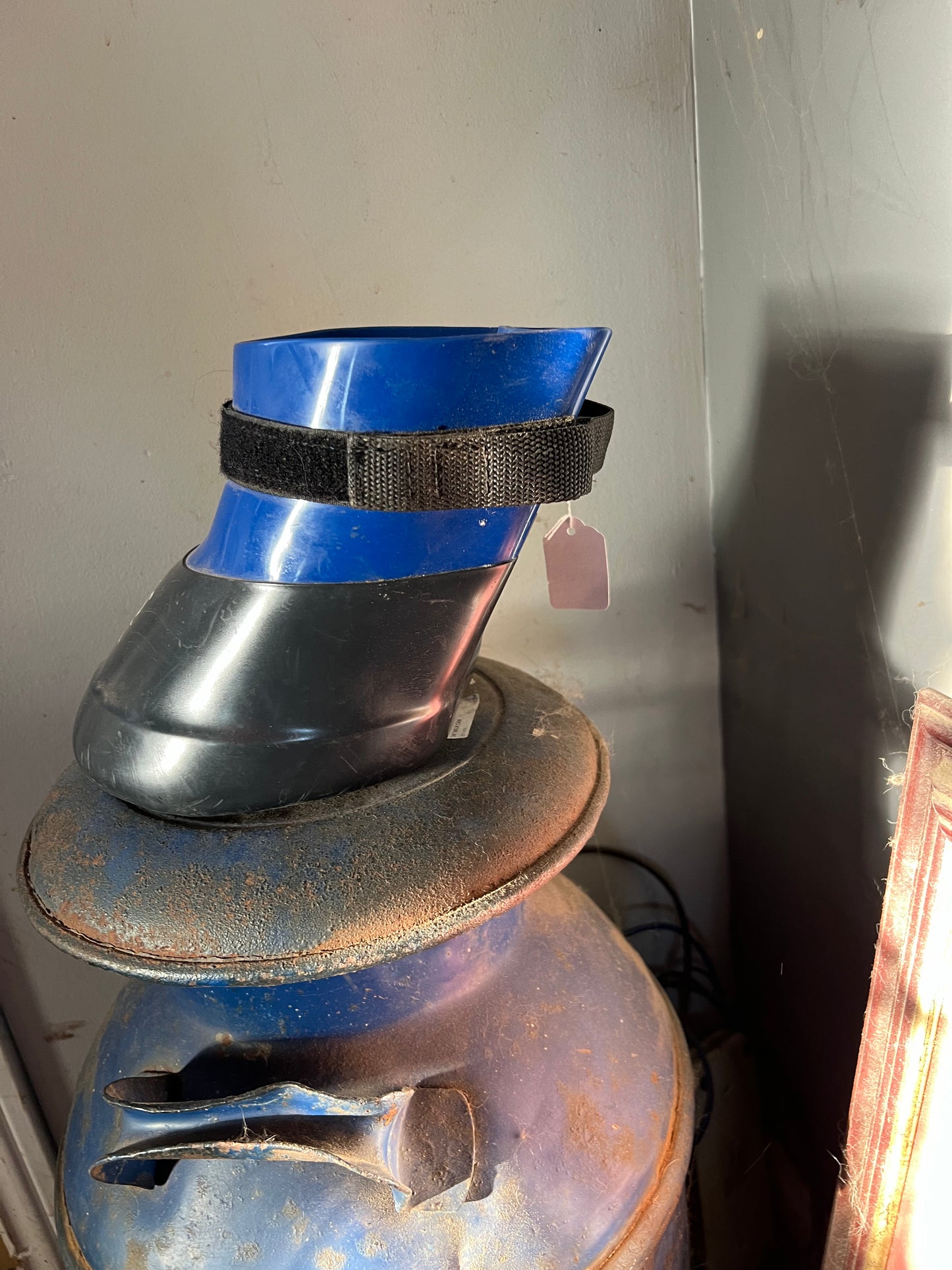 Blue Davis Poultice Boot, 3