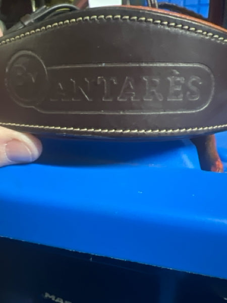 Brown Antares Bridle with Reins and bit, 2 (full)