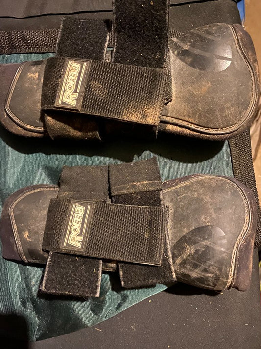 Black Roma Open Front, Horse