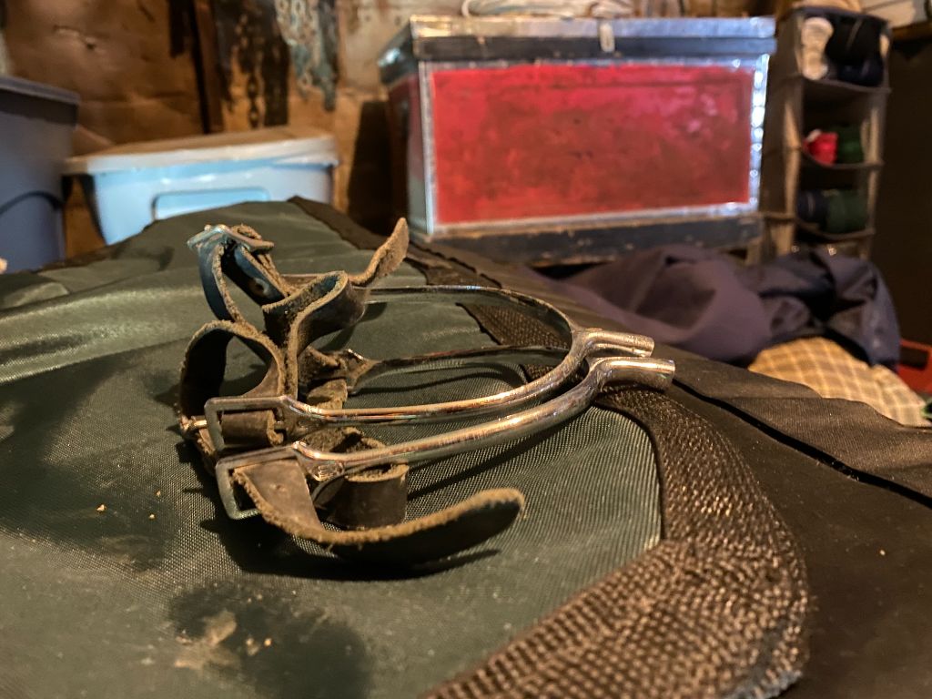 with leather strap  1" Spur, ladies