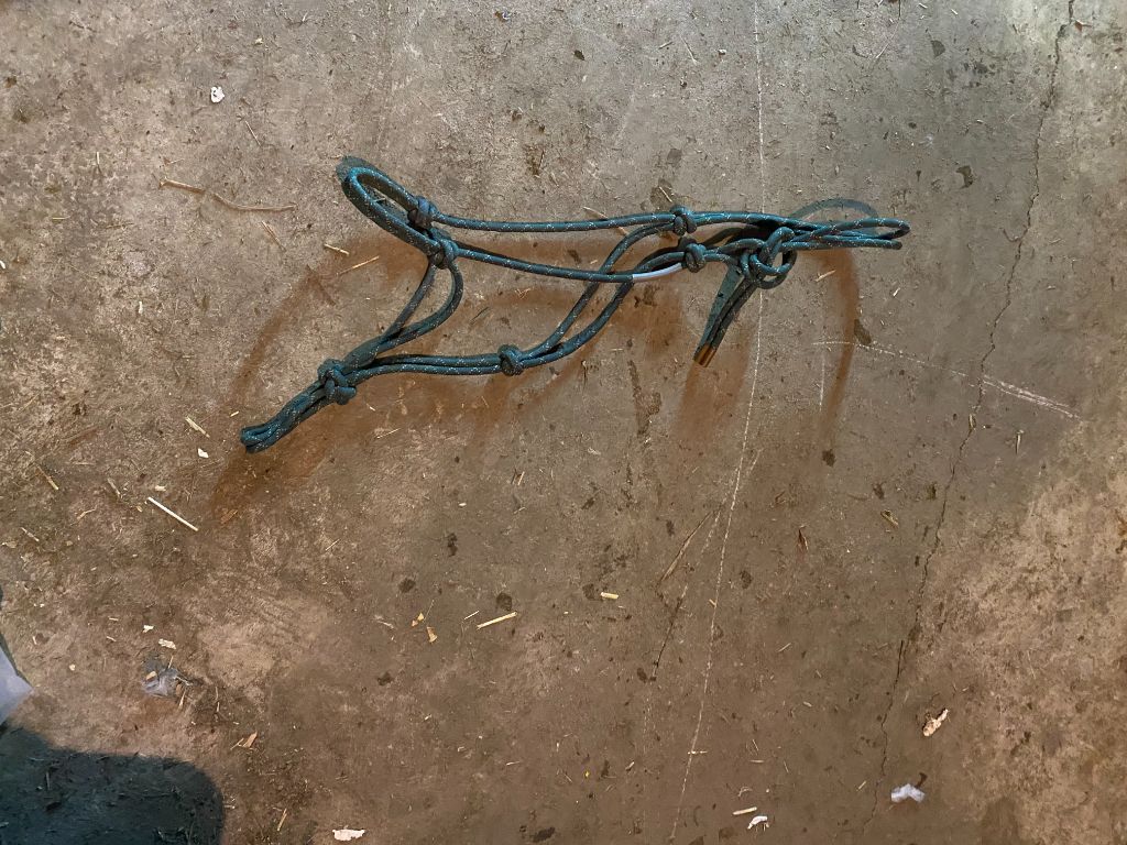 Green  Rope Halter