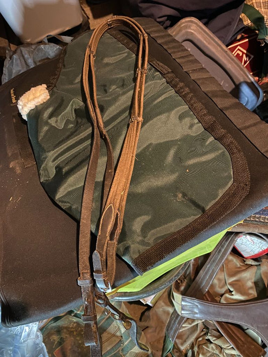 Brown Web Reins, full