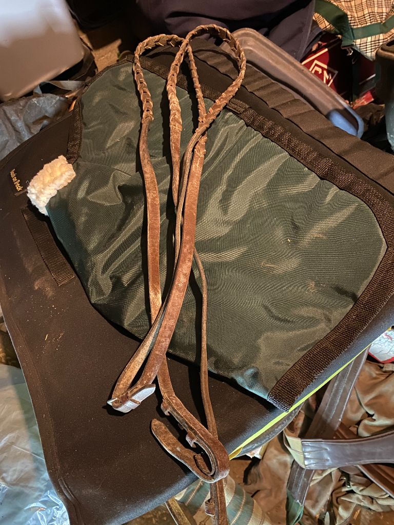 Brown Leather Laced Reins, Full