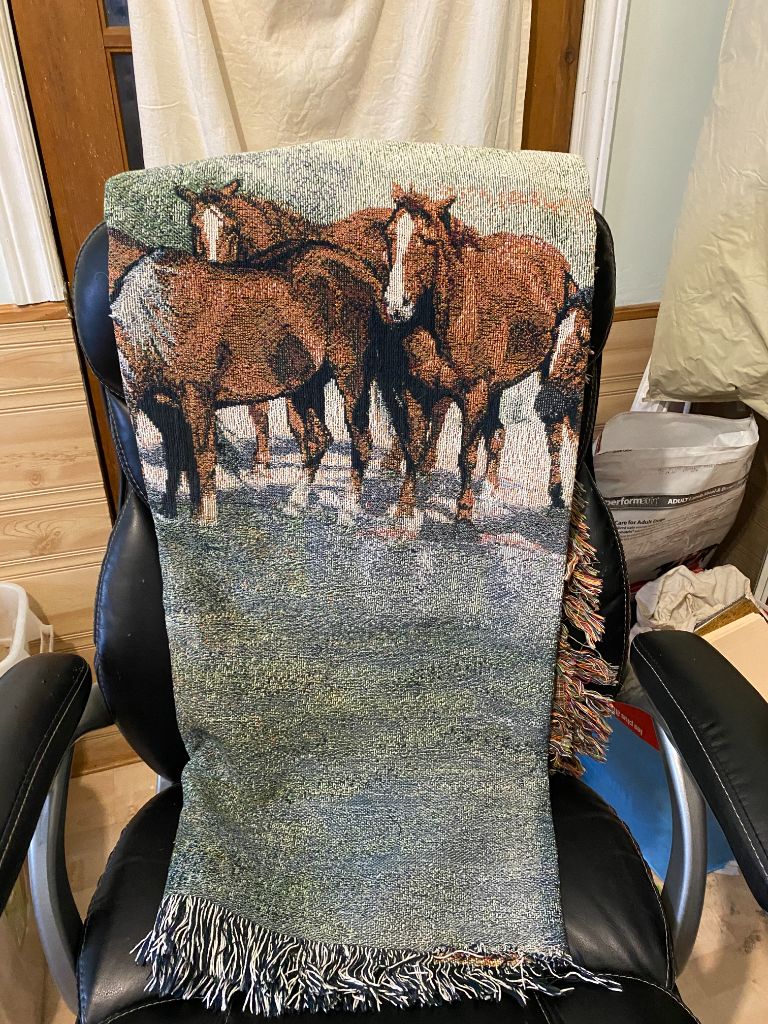 Horse Throw