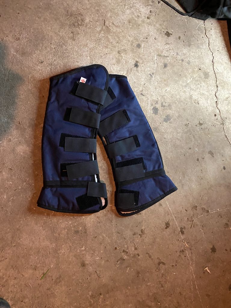 Blue  Shipping boots - hinds only, Horse