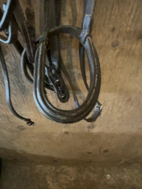 Fancy Stitched Bridle, Full
