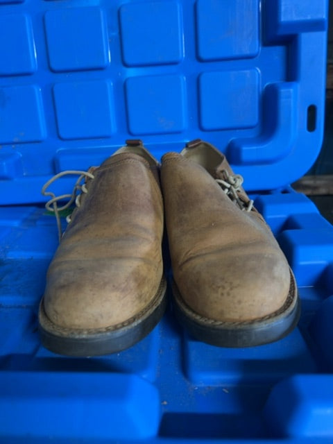 Tan Ariat Shoes, 6B