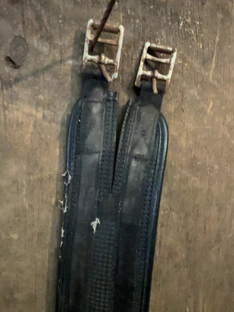 Black  Neoprene Girth, 58”
