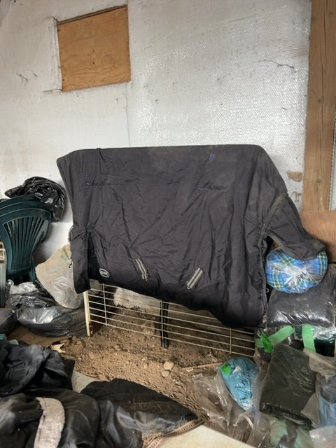 Black Canadian Horsewear Maxim Winter Turnout, 69”