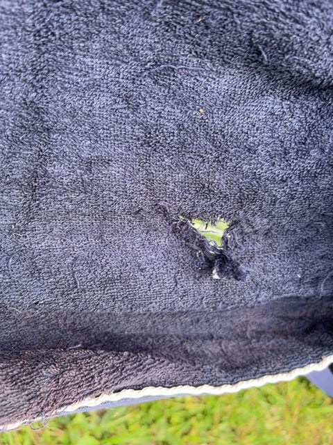 Blue Shedrow Terry Cooler with Adjustable Front, 74" at largest