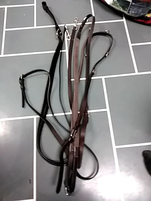 Chocolate  German martingale with rein, Full