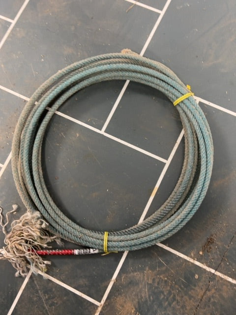 Blue  Ropes