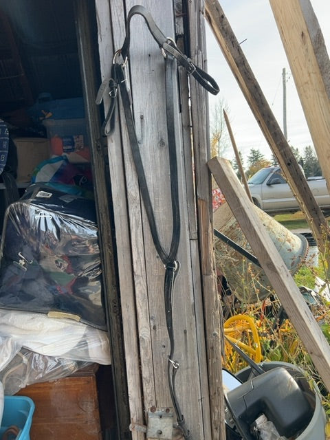 Black  Breastplate, Draft