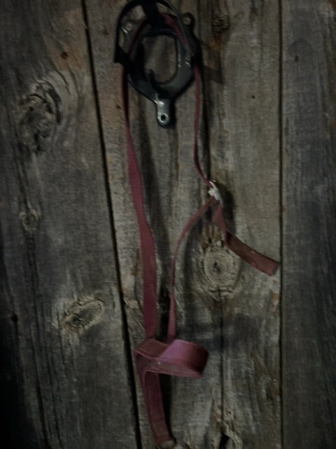 Burgundy  Noseband
