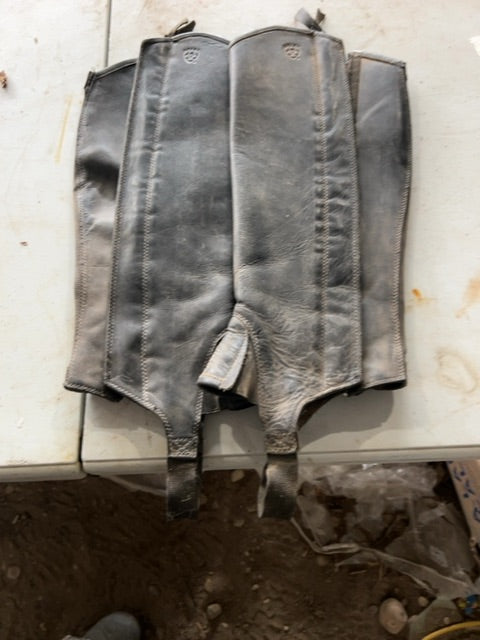 Black Ariat Classic III Half Chaps, Medium