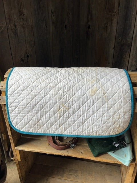 White with Teal Shedrow Baby Pad, Full