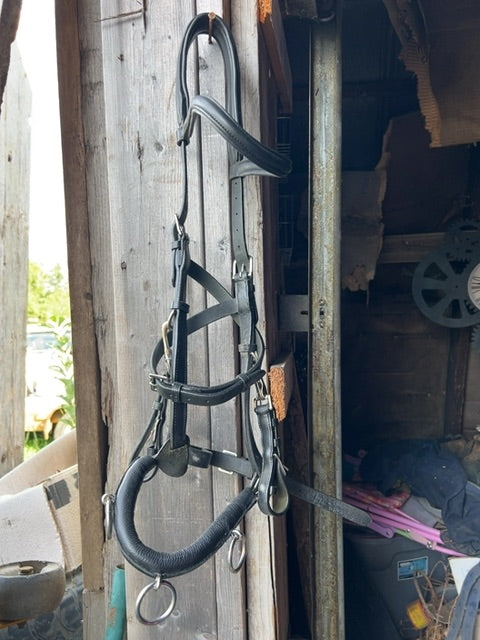 Black Kieffer Lunging Cavesson, Full