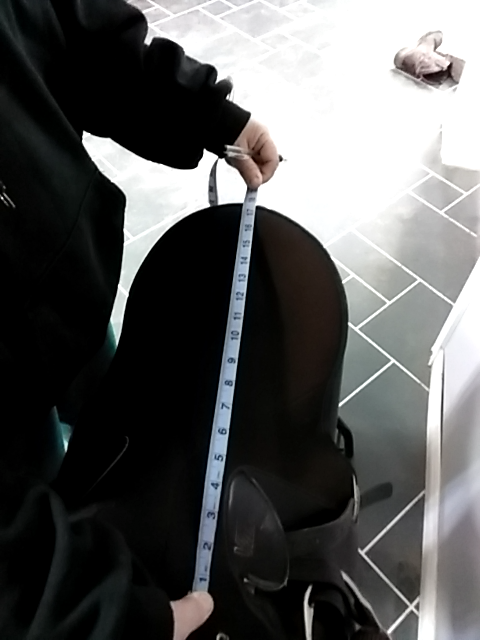 Black Wintec sport All Purpose Saddle