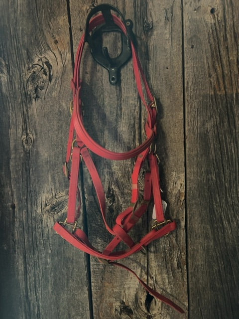 Red Biothane  Halter/Bridle, Horse