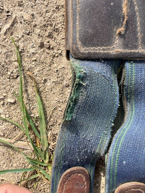 Brown  Stud Girth, 52"