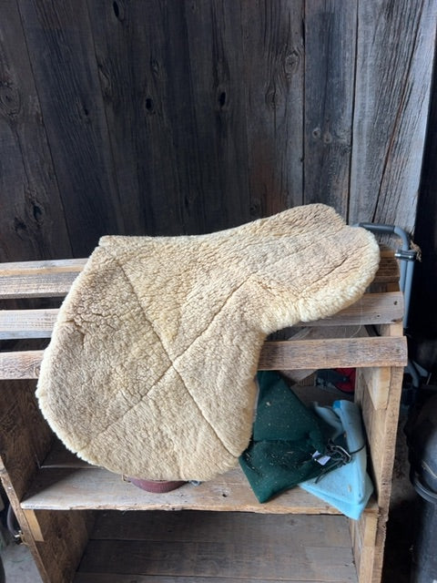 Black Orgaterm Shaped Saddle Pads, Full