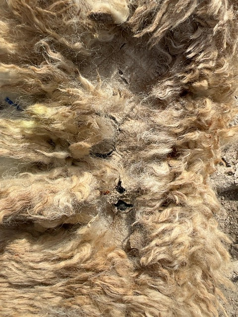 Brown  Leather Belly Girth, 51"