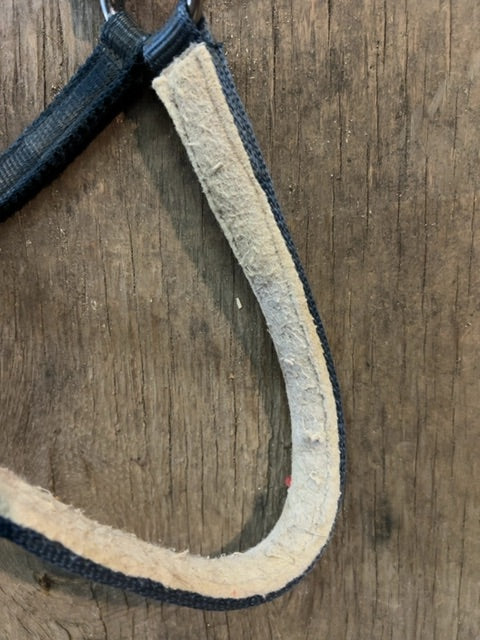 Navy Tuffy Halter, Full