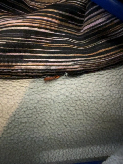 Kerrits Fleece Lined 1/4 zip