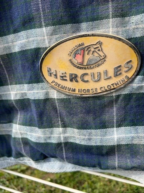 Blue Plaid Hercules Stable Sheet, 78"