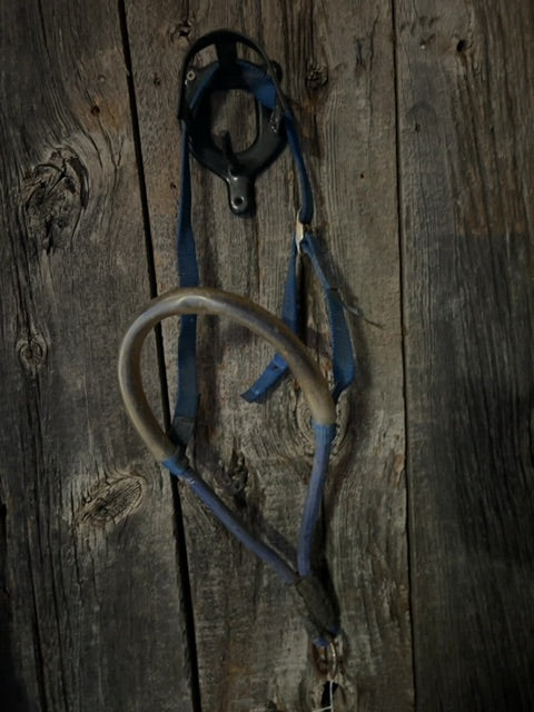 Blue Nylon  Noseband