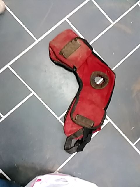 Red  Horn Bag