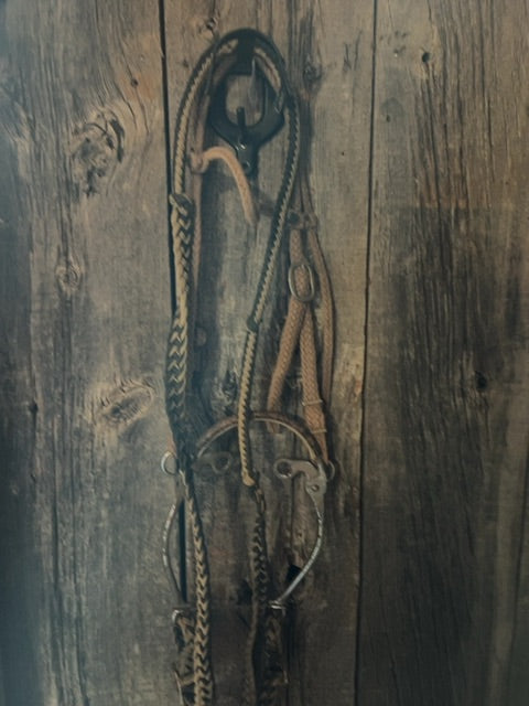 Beige  Nylon bridle with hackmore