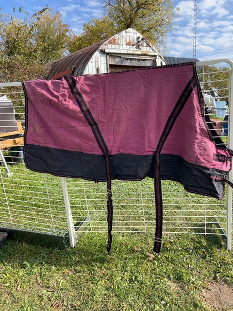 Burgundy/Black  Stable Sheet, 64"