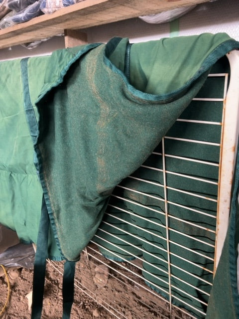 Green  Stable Blanket, 76”