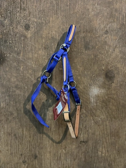 Blue Tough 1 Halter, Small mini