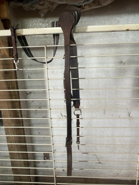 Elastic Breastplate, Full