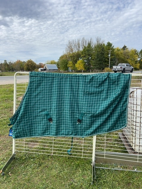 Green Check Cavalier Belmont Lightweight Poly Sheet, 80"