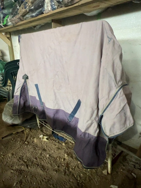 Purple Canadian Horsewear Maxim Winter Turnout, 80”
