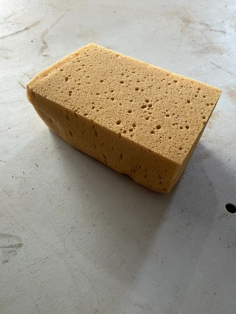Sponge