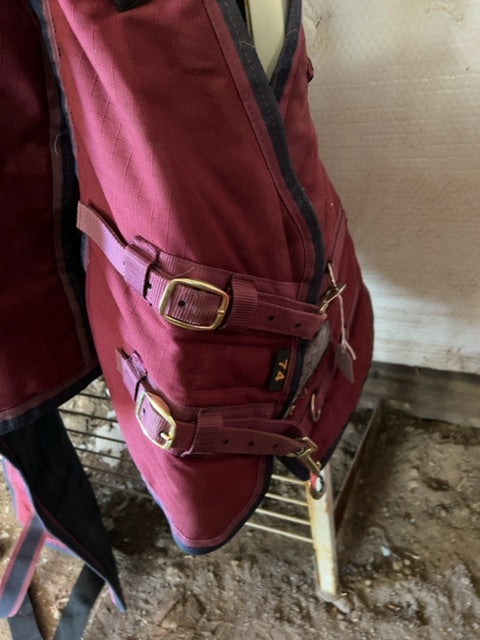 Burgundy Schneiders Turnout, 74"