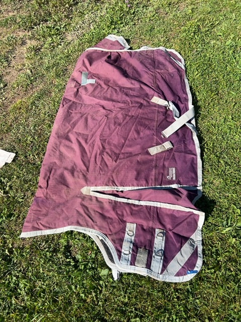 Purple Canadian Horsewear Maxim Winter Turnout, 72