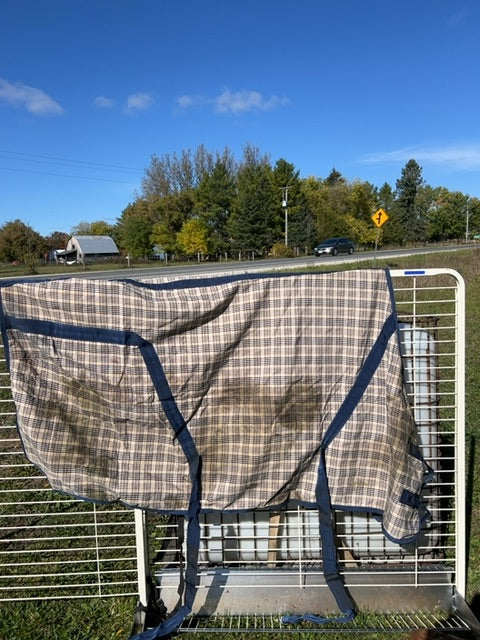 Baker Plaid Shedrow Stable Sheet, 76