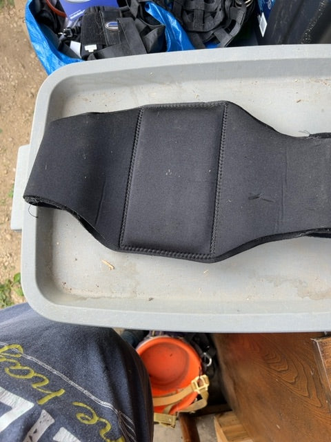 Black Professional Choice Back Brace, Small