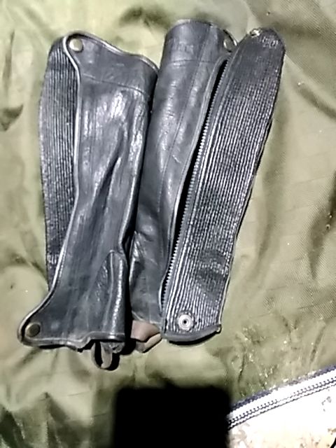 Black  Half Chaps, Medium Kids