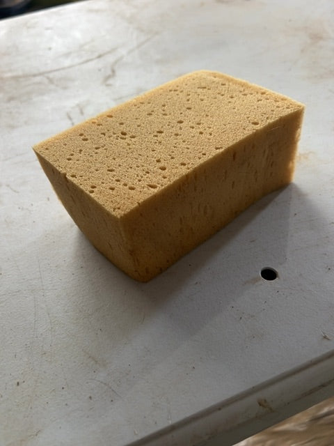 Sponge