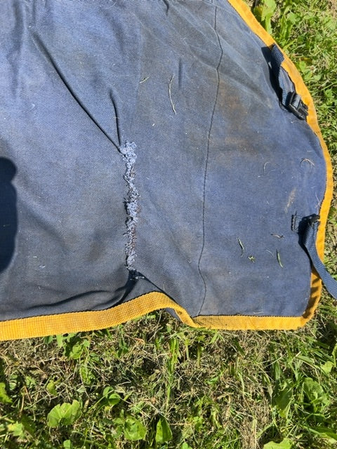 Navy Equimode Stable, 72”