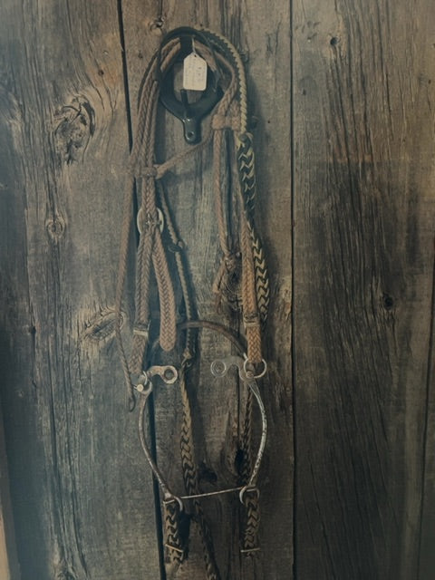 Beige  Nylon bridle with hackmore