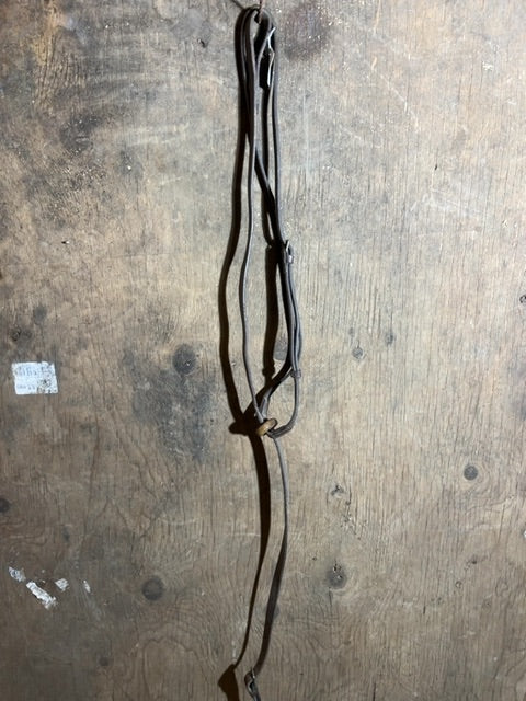 Brown  Standing Martingale, Full